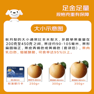京鲜生 秋月梨 单果300g+ 净重4.5斤 新鲜水果
