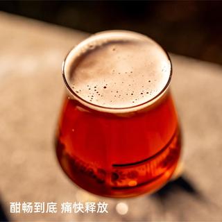 山乘酿造 远洋北境之王帝国IPA啤酒 18度 500ml*1罐