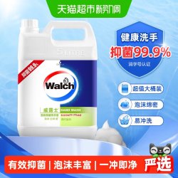 威露士 泡沫抑菌洗手液 青柠盈润