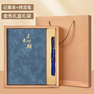 腾然笔记本定制文创商务笔记本精致礼盒装 藏蓝色A5软皮+金盒+01笔(送礼袋)