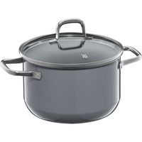 WMF 福腾宝 Fusiontec Essential 烹饪锅 大号 20 厘米 玻璃盖 电磁炉炖锅 3.7 升 高科技陶瓷 防刮 未涂层 灰色 德国制造