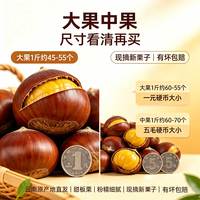 言片光 2026年云南新鲜板栗老树生板栗新鲜油栗子新鲜应季蔬菜 净重 3斤 新板栗 I 5毛硬币带大小