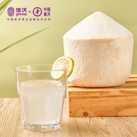 佳沃 泰国进口香水椰青9个大果椰子当季新鲜水果顺丰整箱包邮