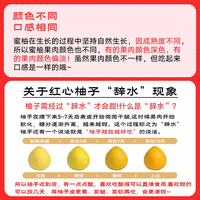 京觅 梅州大埔白心蜜柚 7.5-8斤 4粒装