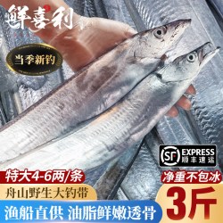 鲜喜利 舟山带鱼整条海鲜东海水产新鲜鲜活冷冻小眼海钓油带鱼非刀鱼整箱