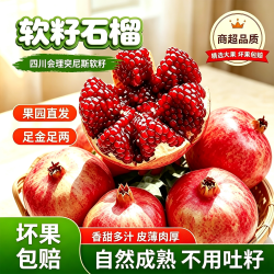 火鸡生活 5斤突尼斯软籽石榴新鲜水果粒粒饱满甜不吐籽个大饱满