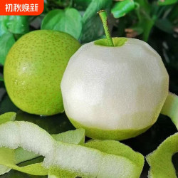 梨子正宗砀山梨青梨酥梨当季水果新鲜现摘安徽皇翠冠整箱香梨雪梨