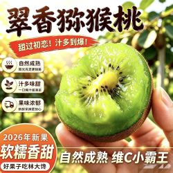 馋猕猴桃 礼盒彩箱
