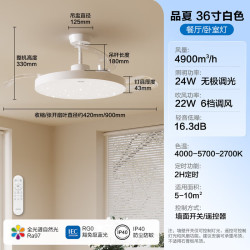 飞利浦 全光谱LED吊扇灯餐厅风扇灯吊灯客厅卧室带灯具风扇灯 高显色-照明24W