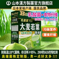 日本原装进口大麦若叶青汁粉乳酸菌高膳食纤维代餐粉1盒22袋