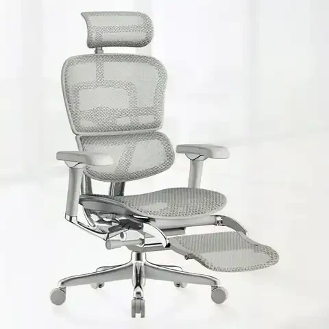 Ergonor 金豪SE 顶奢旗舰 人体工学电脑椅+躺舒宝 银白色