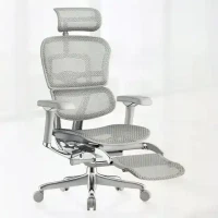 Ergonor 金豪SE 顶奢旗舰 人体工学电脑椅+躺舒宝 银白色