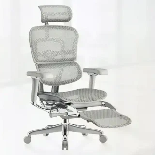Ergonor 金豪SE 顶奢旗舰 人体工学电脑椅+躺舒宝 银白色
