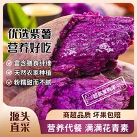 东东田 紫薯新鲜带箱沙地紫薯红薯  净重4.5斤单果50-100g