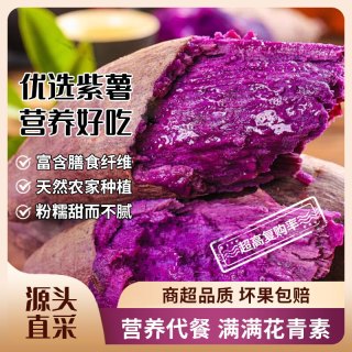 东东田 紫薯新鲜带箱沙地紫薯红薯  净重4.5斤单果50-100g