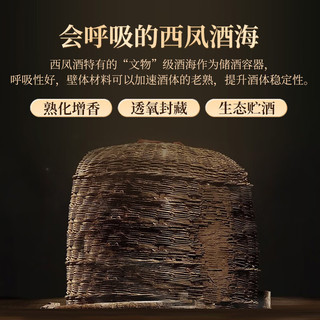 西凤酒 六年陈酿 52度 凤香型白酒 500ml