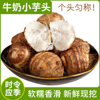 言片光 2026年现挖新芋头云南毛芋头山芋新鲜牛奶小芋头芋艿蔬菜火锅食材 3斤 净重