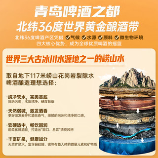 窈仙 NFC甜橙鲜啤 原汁麦度8°P 500mL*6罐 整箱装