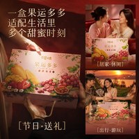 百草味 缤纷果干礼盒 蜜饯果干
