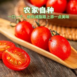 果迎鲜 圣女果 新鲜水果 四川千禧圣女果 小圣女果小番茄 5斤装JX