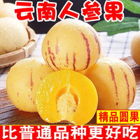 果迎鲜 人参果 圆果 5斤 现摘云南石林人生果 新鲜水果 生鲜