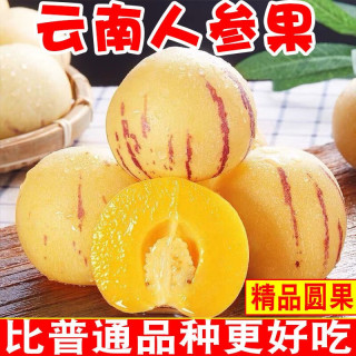 果迎鲜 人参果 圆果 5斤 现摘云南石林人生果 新鲜水果 生鲜