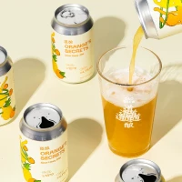 DaoBrew/道酿 凤梨橙子口味 精酿啤酒  1x6x330ml 包装 330ml