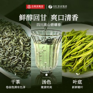 淘金币可用、今日必买：川红 鲜嫩 碧螺春茶叶120g（赠杯子）