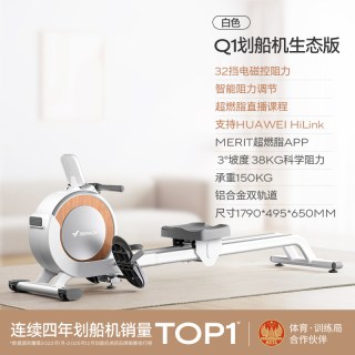 麦瑞克 Q1 磁阻划船机 MRSRM53163