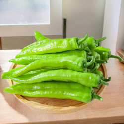 京喜 新鲜青辣椒尖椒牛角椒中辣皮薄饱满清脆辣椒炒肉下饭菜 带箱1斤