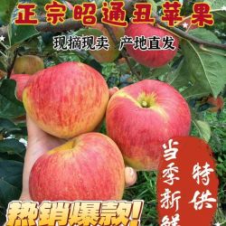 昭通小苹果