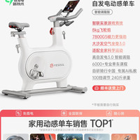 野小兽 自发电动感单车家用静音磁控室内健身器智能健身车M2