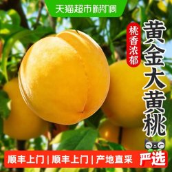 孙悟空 黄金鲜果黄桃