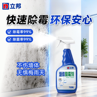 立邦 墙体除霉剂 750ml*1瓶