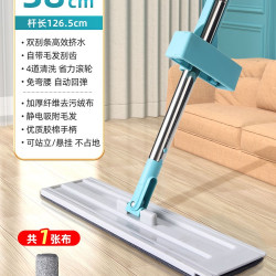 美丽雅 平板拖把家用一拖净干湿两用卫生间专用拖把懒人好用第一名