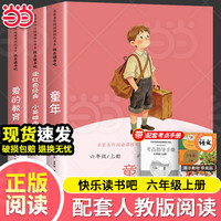 《快乐读书吧 六年级上册》（全3册 送考点 年级任选）童年+爱的教育+小英雄雨来