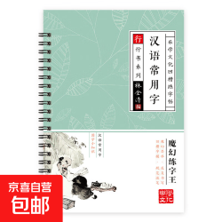行楷字帖成年人钢笔练字帖控笔男生女生高中生漂亮硬笔书法练字本 行楷 10笔芯1笔杆1握笔器