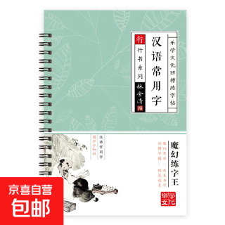 行楷字帖成年人钢笔练字帖控笔男生女生高中生漂亮硬笔书法练字本 行楷 10笔芯1笔杆1握笔器