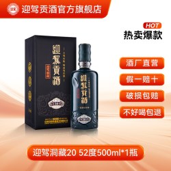 迎驾贡酒 生态洞藏 20 52%vol 浓香型白酒 500ml 单瓶装