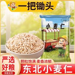 一把锄头 小麦仁 5斤+3斤 新鲜谷物