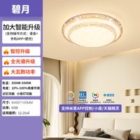 Lighting 雷士 NVC  碧月系列 吸顶灯套装