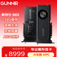 GUNNIR Intel Arc Pro B65 TF 32GB 专业显卡 图形设计推理计算AI智能生图本地部署