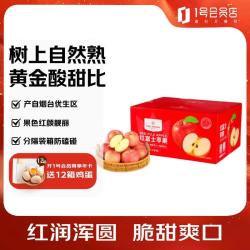 1号会员店 烟台红富士苹果 单果190g起 24枚装 源头直发 包邮