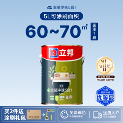 立邦 墙面漆套装