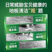 AXE 牌地板清洁剂家用消宠物木板瓷砖面杀菌洗液2L浓缩拖地水B