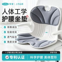 可孚 护腰坐垫腰部支撑腰托腰间盘突出人体工学办公室开车矫姿用品