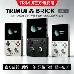 治迅 TRIMUI BRICK