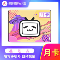 bilibili 哔哩哔哩 大会员月卡