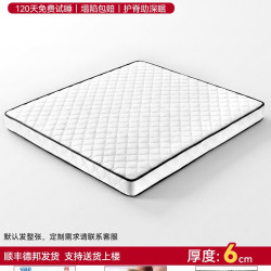 诗瑄梦 天然椰棕护脊硬床垫