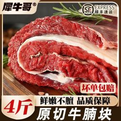 犀牛哥 原切牛腩肉整块牛肉无添加牛腩红烧酱卤牛肉食材6斤